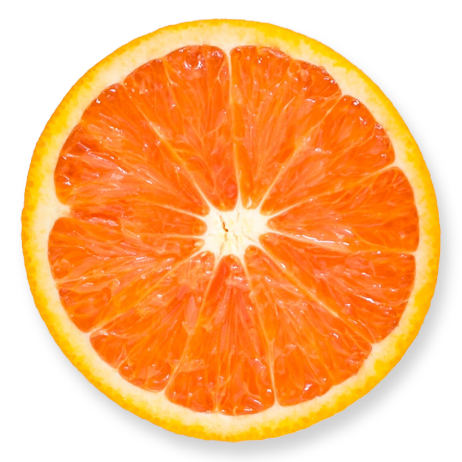 Aquaterra Publishing